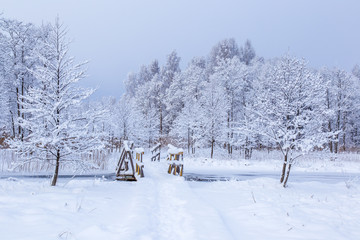Fototapeta premium Over the river is a snow covered bridge and trail, and surrounded by snow covered trees