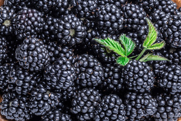 Blackberries.