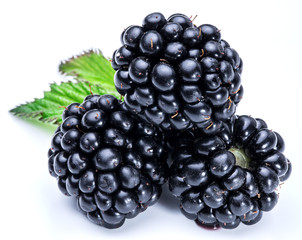 Three blackberries on the white background.
