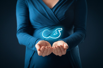 Maternity insurance and pregnancy care