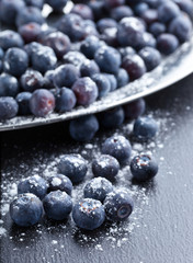 blueberry with sugar