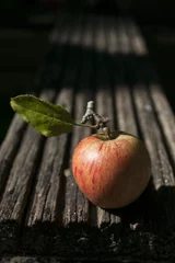 Foto auf Alu-Dibond herfstappel staand © petradejongstock