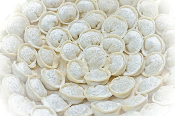 Meat dumplings russian pelmeni.  Close up