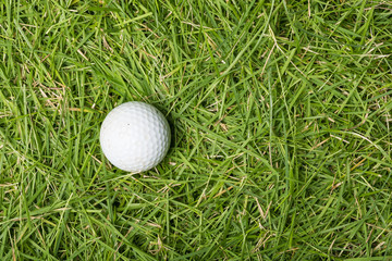 Old golf ball on green grass
