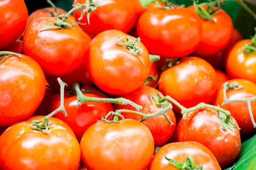 Tomatoes in market 