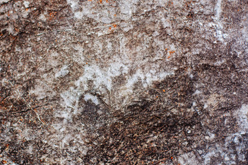 Stone surface