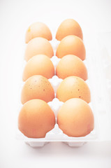 Eggs in egg container.