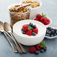 Natural yogurt in a bowl with berries