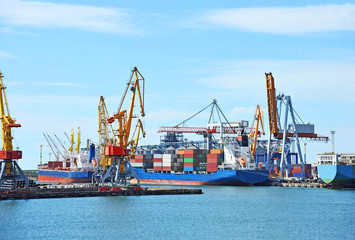 Fototapeta premium Container stack and ship under crane bridge