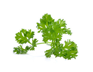parsley