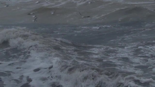 Storm