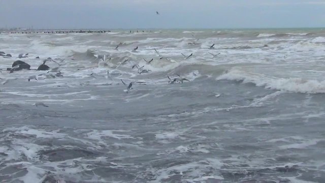 Sea
