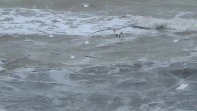 Storm