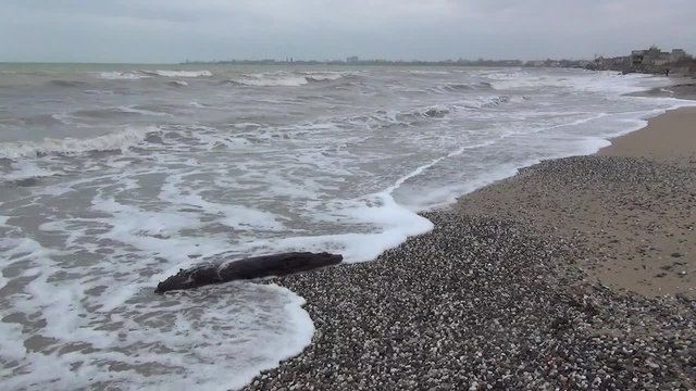 Storm