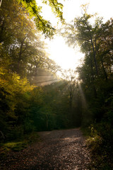 mystische Lichtstimmung