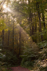 Obraz premium mistyczny nastrój oświetlenia