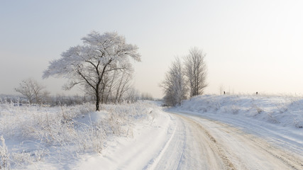 Winter in Moscow Region