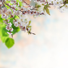 Floral background