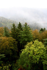 Top view of autumn forest in fog near Karlovy Vary Czech Republic.
