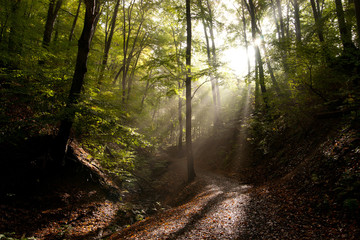 mystische Lichtstimmung