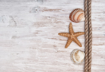 Fototapeta na wymiar Seashells and rope on the old wood. Marine background