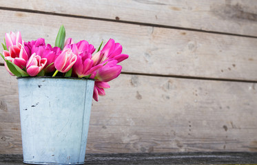eimer gefüllt mit tulpen