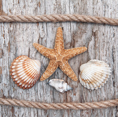 Fototapeta na wymiar Seashells and rope on the old weathered wood
