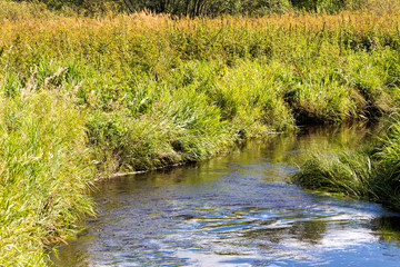 Obraz na płótnie Canvas Calm river with green banks