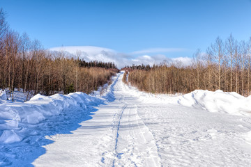 Snow-covered road with snowmobile trails in the forest