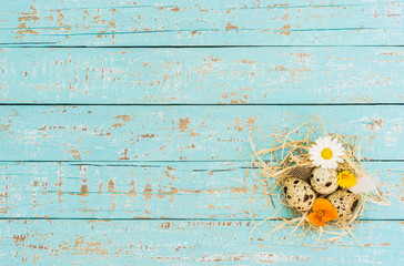 Kleines Osternest auf Holz Hintergrund Blau