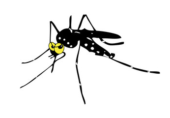Zika zanzara