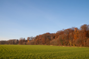 Herbstlandschaft mit blauem Himmel