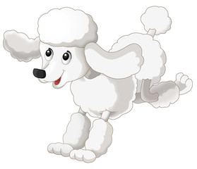 Cartoon animal - dog - isolated - illustration for the children