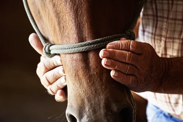 Photo sur Plexiglas Chevaux agriculteurs mains sur cheval