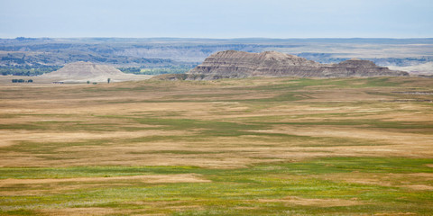 wildflowers and grassland in the badlands of South Dakota