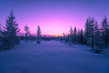 Winter landscape with forest, cloudy sky and sun 