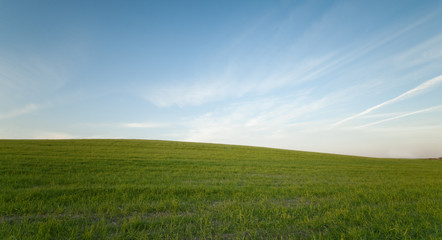  Green field and Blue cloudy Sky Environment