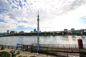 Fototapeta na wymiar Tokyo sky tree