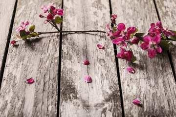 Fototapeta na wymiar apple flowers on wooden background