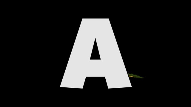 Letter A and Alligator (foreground)
Animated animal alphabet. HD footage with alpha channel. Animal in a foreground of letter.