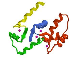 Molecular structure of calmodulin