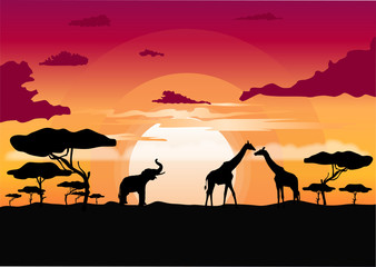 African sunset in the savannah with silhouette of animals