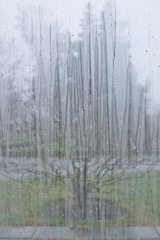 Window with raindrop pattern