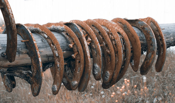 Horseshoes