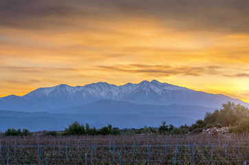  Mont Canigou,soleil couchant,Pyrénées-Orientales.