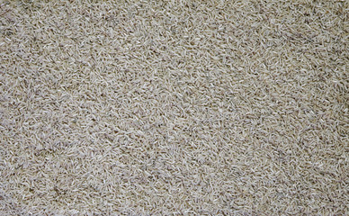Rice background texture / abstract - detailed large file.