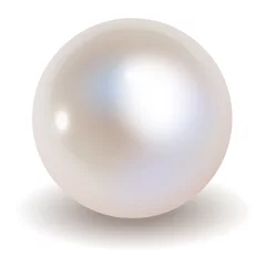 Perlenvektor auf weißem Hintergrund. © AllebaziB