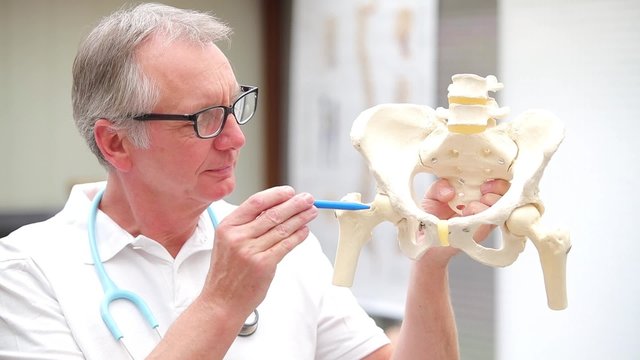 Mature doctor demonstrating hip joint