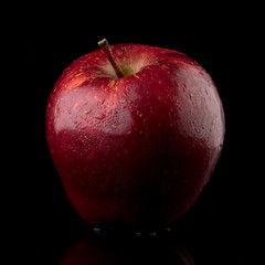 Fresh red apple