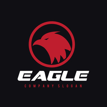 Eagle Logo,Bird Logo,Animal logo,Vector Logo Template